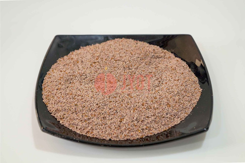 Psyllium Seed